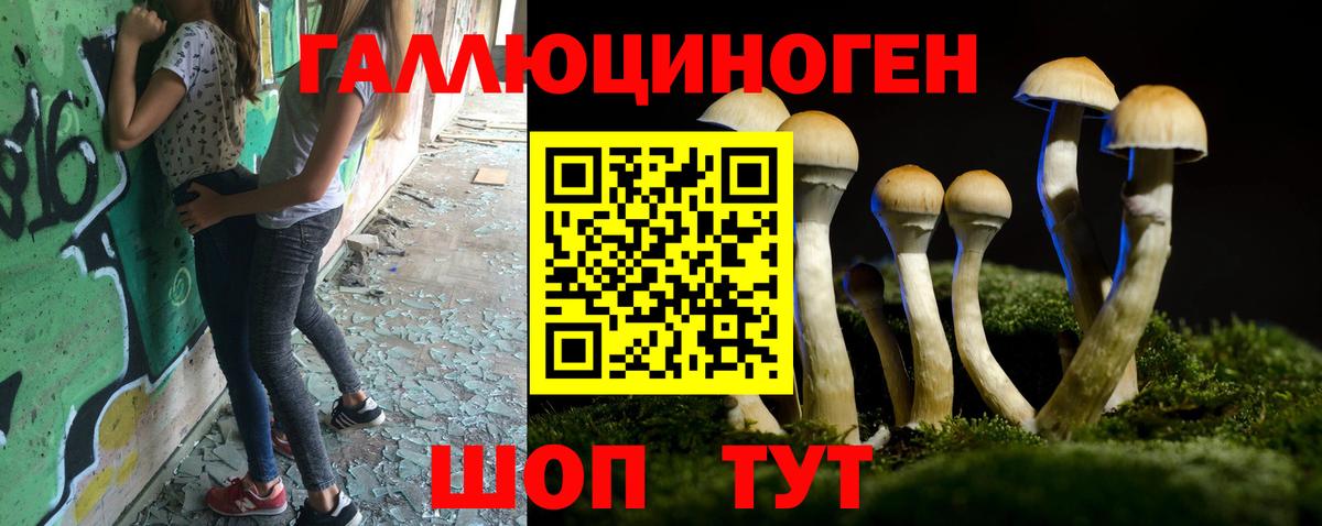 Галлюциногенные грибы MAGIC MUSHROOMS Лысьва